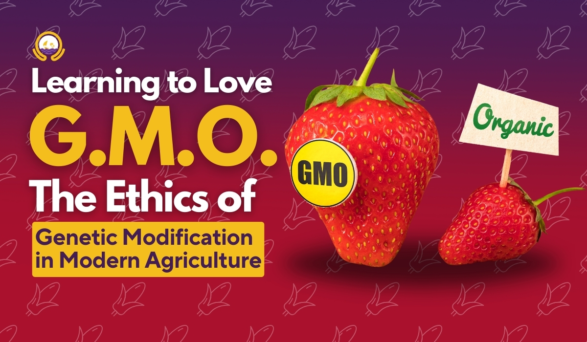 LEARNING TO LOVE GMO: THE ETHICS OF GENETIC MODIFICATION IN AGRICULTURE